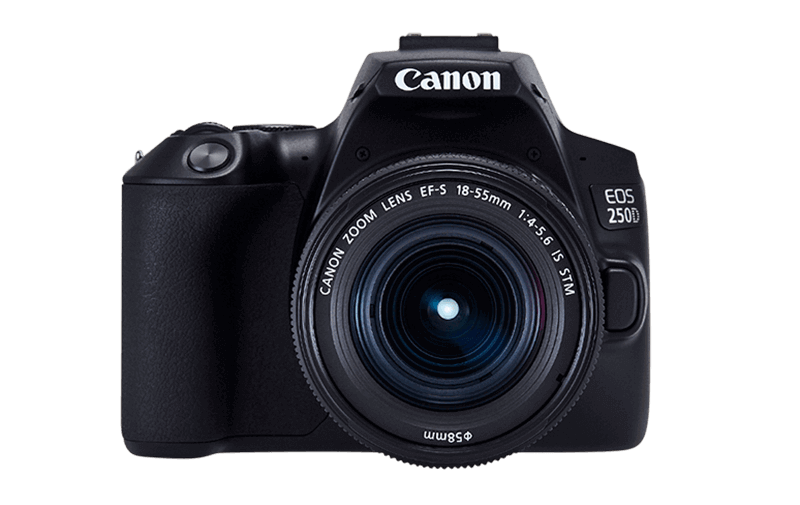Proveedores de cámaras fotográficas Canon EOS 250D
